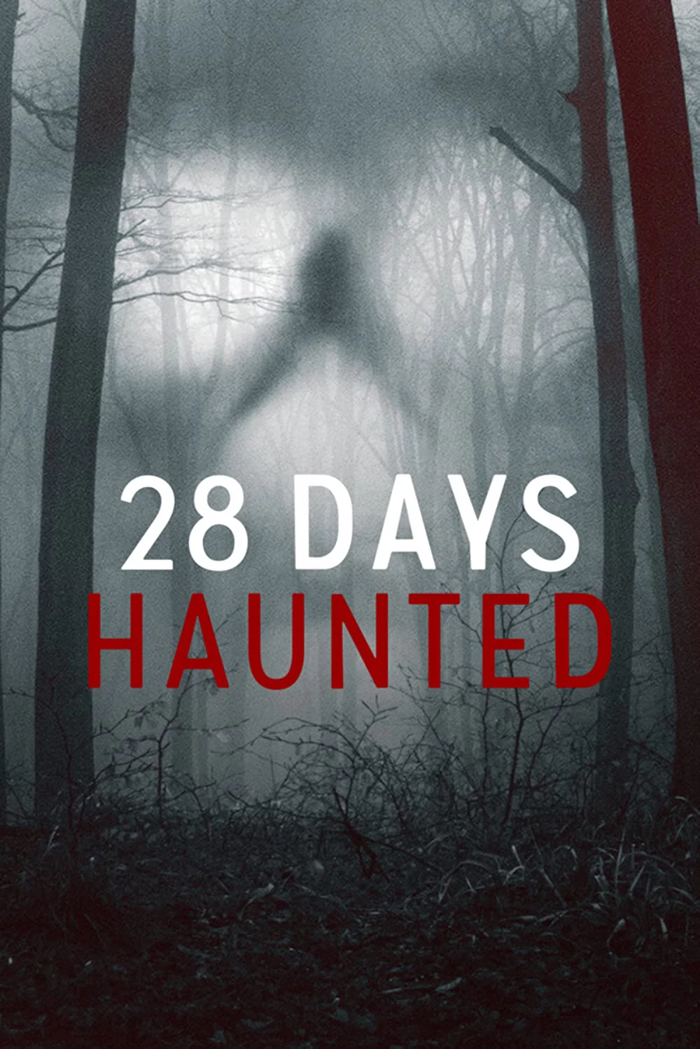 28 Ngày Ma Ám | 28 Days Haunted (2022)