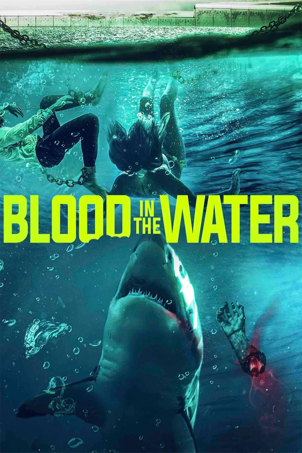 Xem phim Cá Mập Dưới Nước - Blood in the Water (2022)