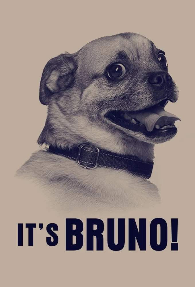 Chú chó Bruno | It's Bruno! (2019)