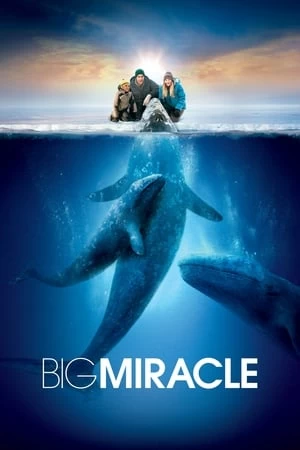 Giải Cứu Cá Heo | Big Miracle (2012)