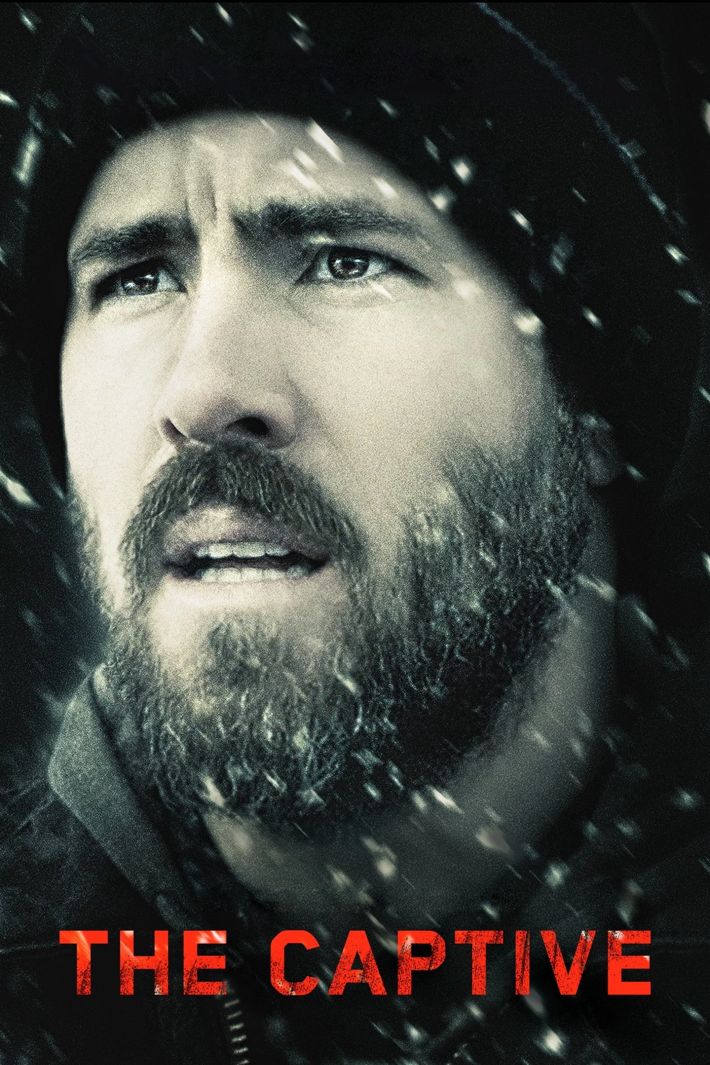 Giam Cầm | The Captive (2014)