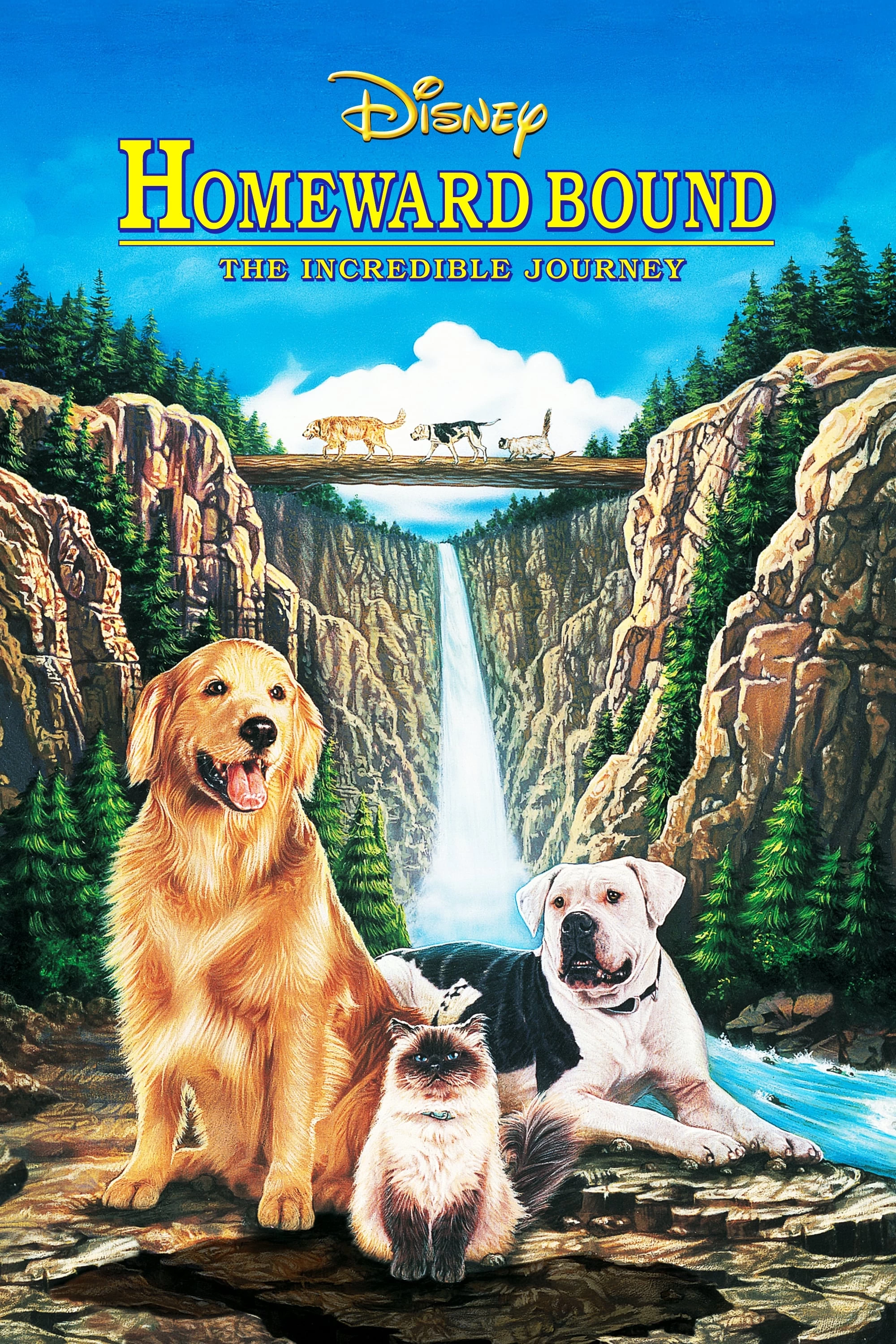 Hướng Về Nhà: Hành Trình Phi Thường | Homeward Bound: The Incredible Journey (1993)