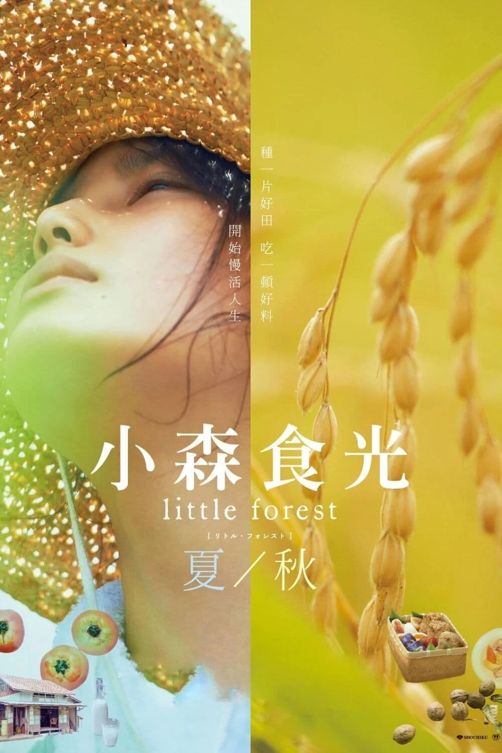 Khu Rừng Nhỏ - Hạ/Thu | Little Forest: Summer/Autumn (2014)