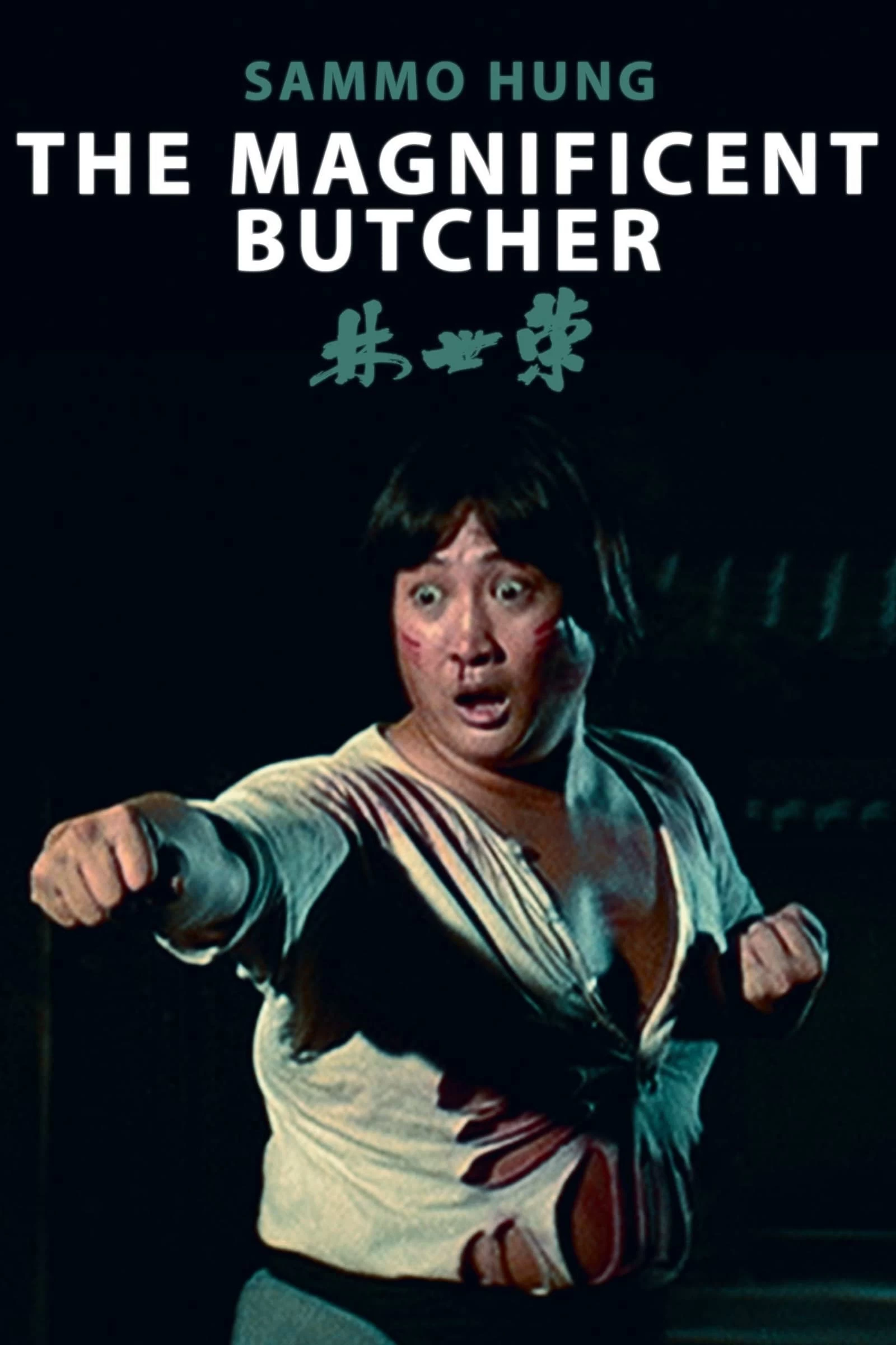 Xem phim Lâm Thế Vinh - The Magnificent Butcher (1979)