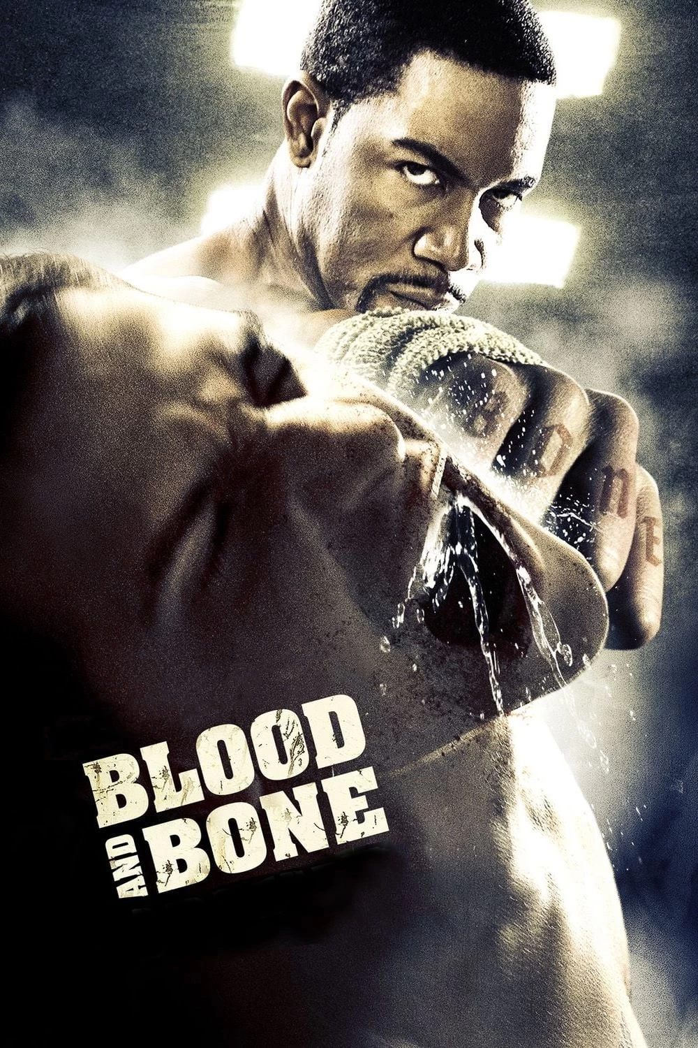 Máu và Xương | Blood and Bone (2009)