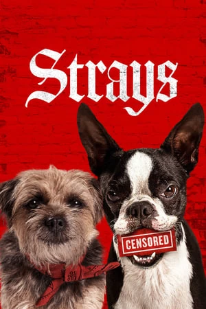 Những Chú Chó Bụi Đời | Strays (2023) (2023)