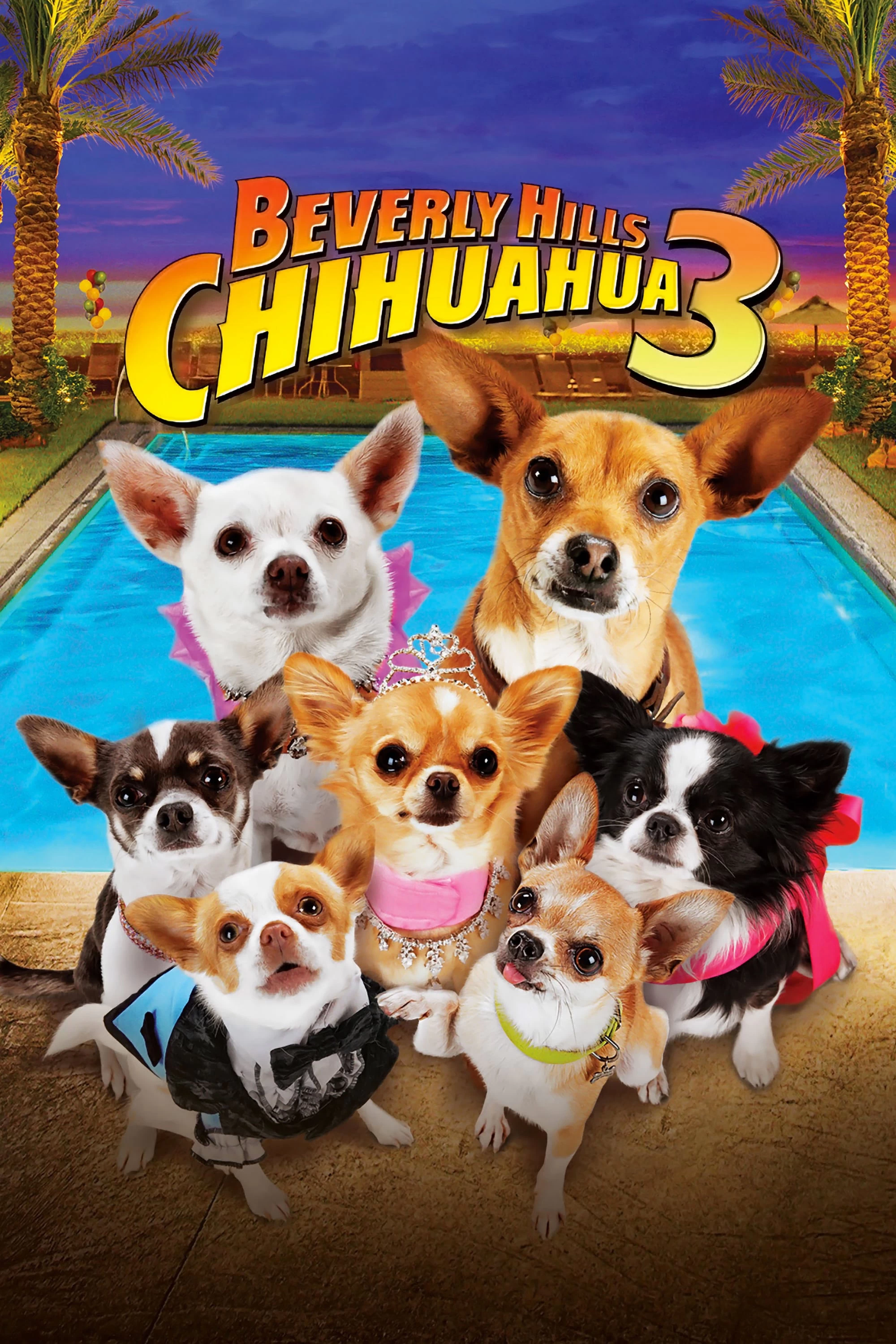 Những Chú Chó Chihuahua 3 | Beverly Hills Chihuahua 3: Viva La Fiesta! (2012)