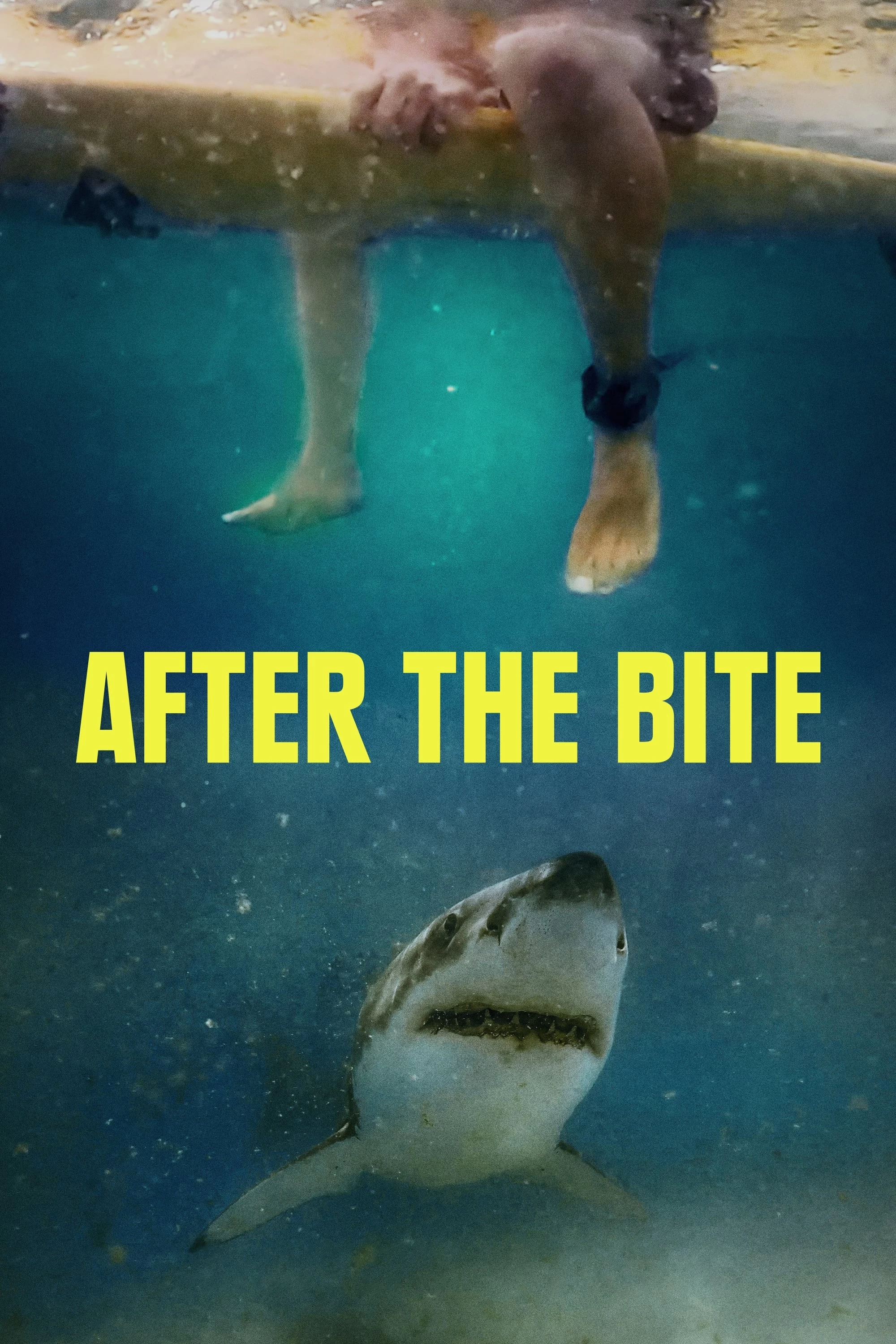 Sau Cú Đớp | After the Bite (2023)