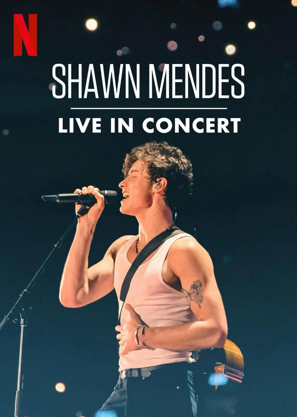 Shawn Mendes: Trực Tiếp Tại Buổi Hòa Nhạc | Shawn Mendes: Live In Concert (2020)