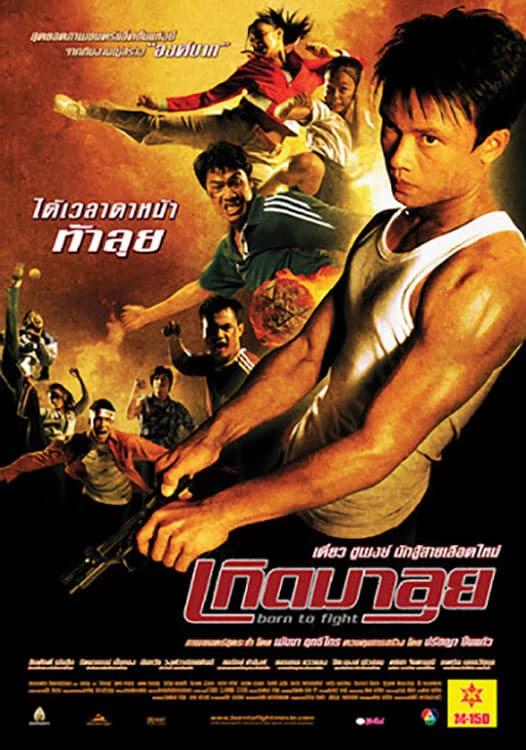 Sinh Ra Để Chiến Đấu | Born to Fight (2004)