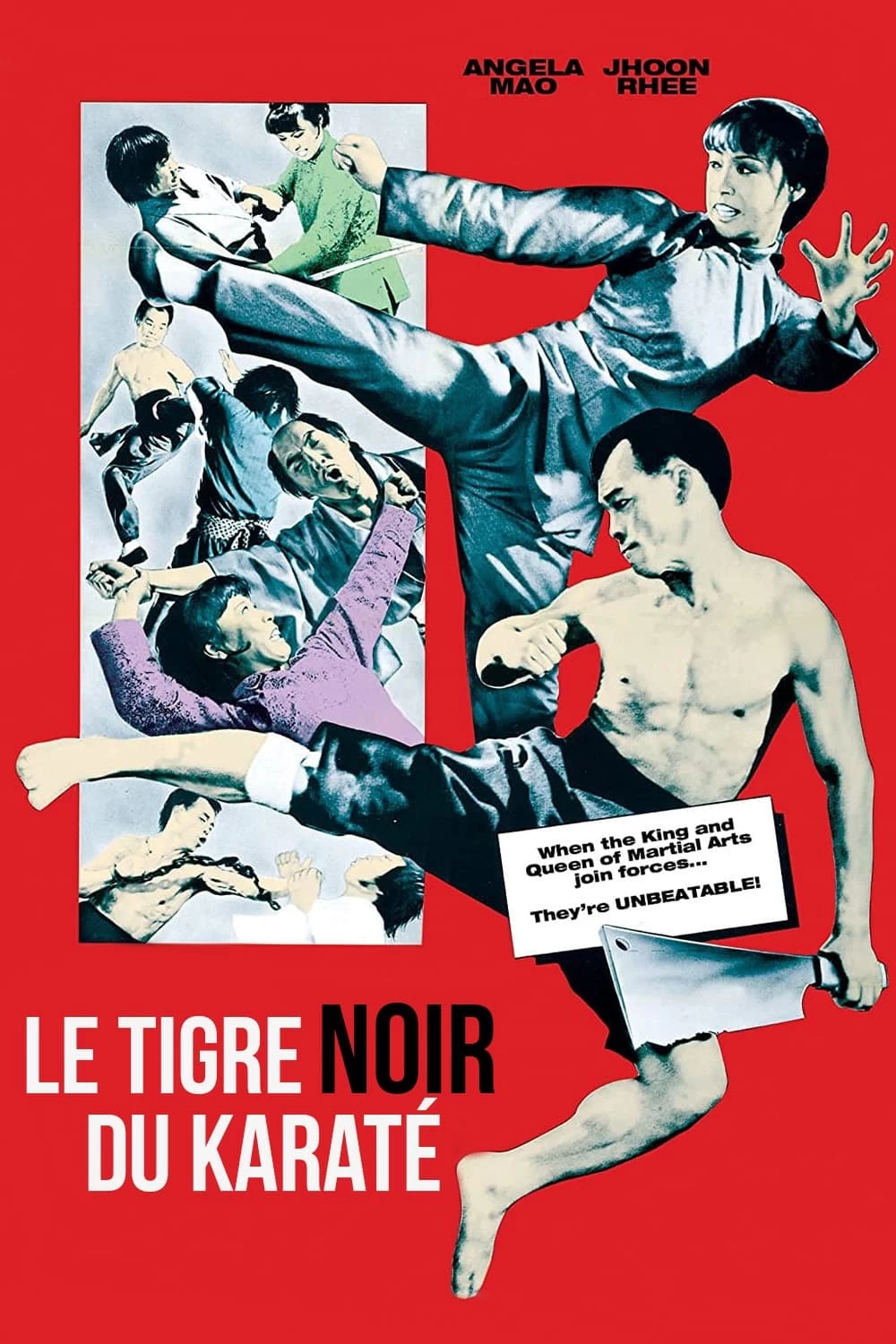 Taekwondo Chấn Cửu Châu | When Taekwondo Strikes (1973)