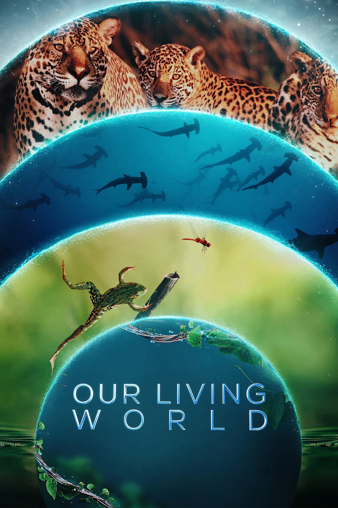 Xem phim Thế Giới Sống Của Chúng Ta - Our Living World (2024)