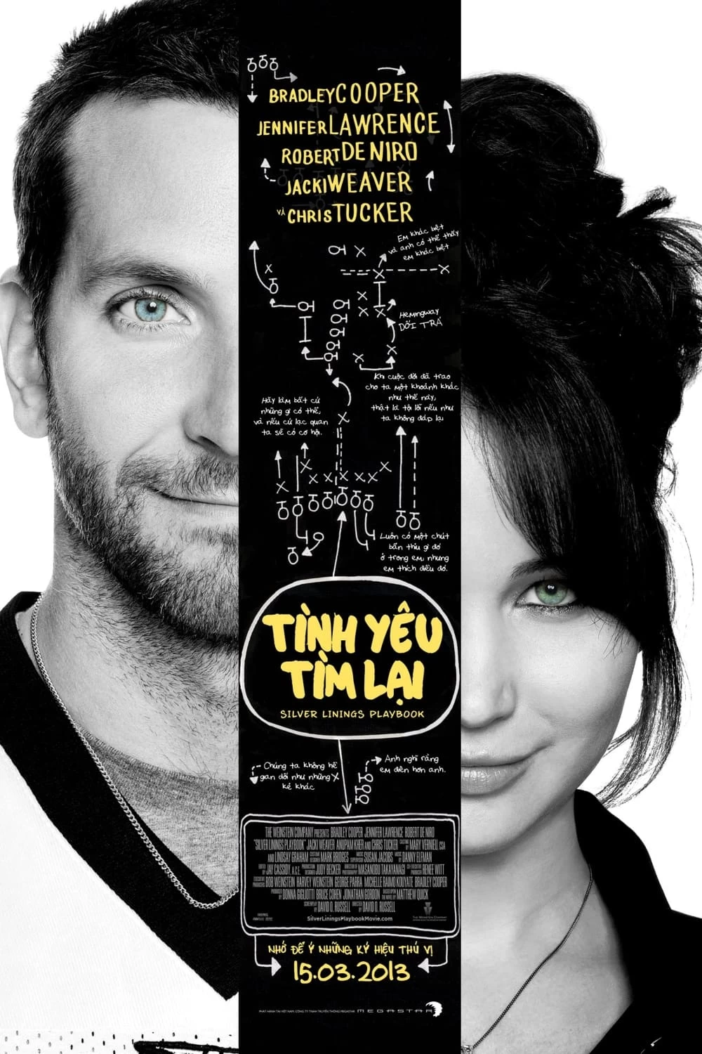 Tình Yêu Tìm Lại | Silver Linings Playbook (2012)