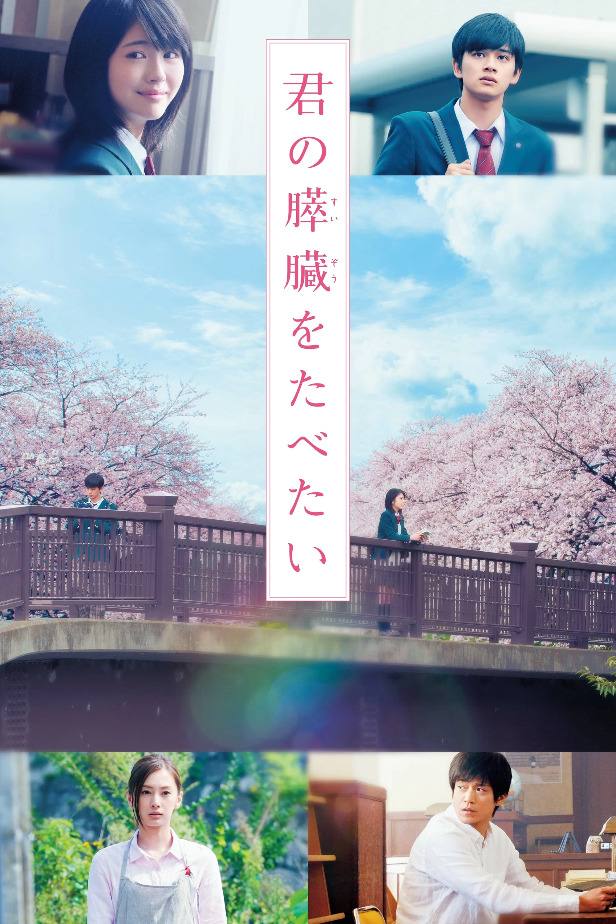 Tớ Muốn Ăn Tụy Của Cậu | Let Me Eat Your Pancreas (2017)