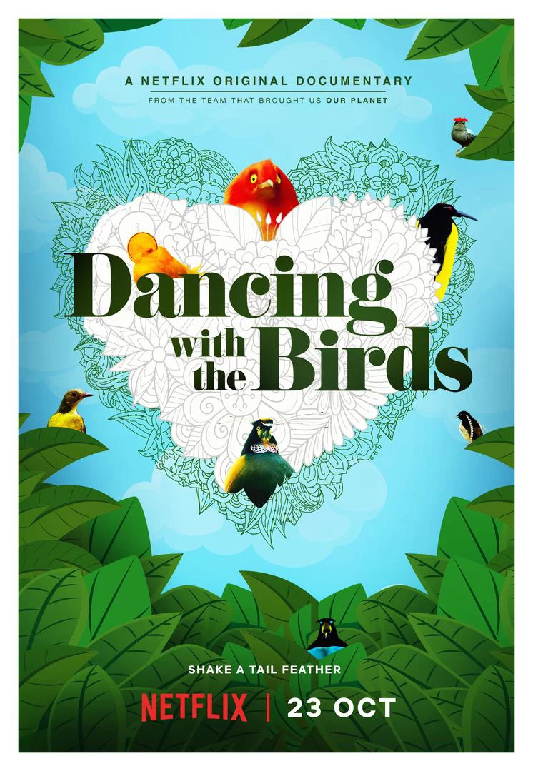 Vũ Điệu Của Loài Chim | Dancing With The Birds (2019)